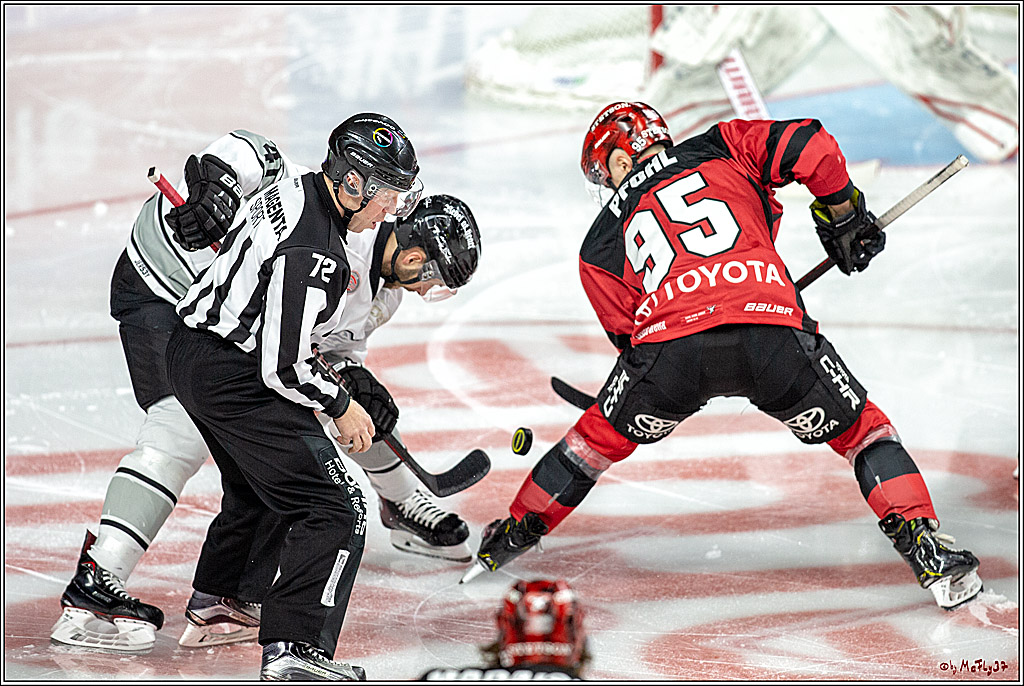 DEL; Koelner Haie - Thomas Sabo Ice Tigers Nuernberg, 19.02.2019